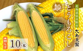 【2026年7月中旬～発送】朝もぎ とうもろこし 恵味 めぐみ 10本 L-2L 北海道 富良野市 (大島農園)