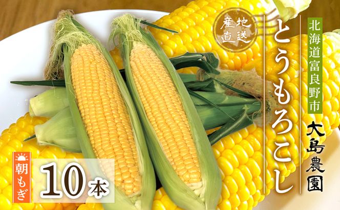 【2026年7月中旬～発送】朝もぎ とうもろこし 恵味 めぐみ 10本 L-2L 北海道 富良野市 (大島農園)