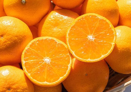 みかん 【令和8年10月下旬発送開始】 3kg ブランドみかん 山北みかん 一度食べたらくせになる！ 高知県産 山北みかん 約3kg(露地栽培 2S～Lサイズ） ku-0052