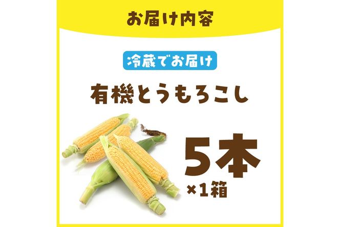 ＜てんとうむしばたけ＞有機とうもろこし5本　有機野菜 甘い 野菜 ふるさと納税 とうもろこし 期間限定 とうもろこしごはん かき揚げ 有機 オーガニック 産地直送 旬野菜 旬 コーン バター ペッパーランチ シャキシャキ 弾ける 丸ごと かぶりつきBR00029