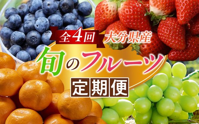 ＜定期便・全4回＞大分県産旬のフルーツ定期便 (4種・総量9kg) ブルーベリー シャインマスカット 温州みかん いちご フルーツ 果物 柑橘 ブドウ デザート 大分県産＜北海道・沖縄・離島配送不可＞【DT23】【全国農業協同組合連合会大分県本部】