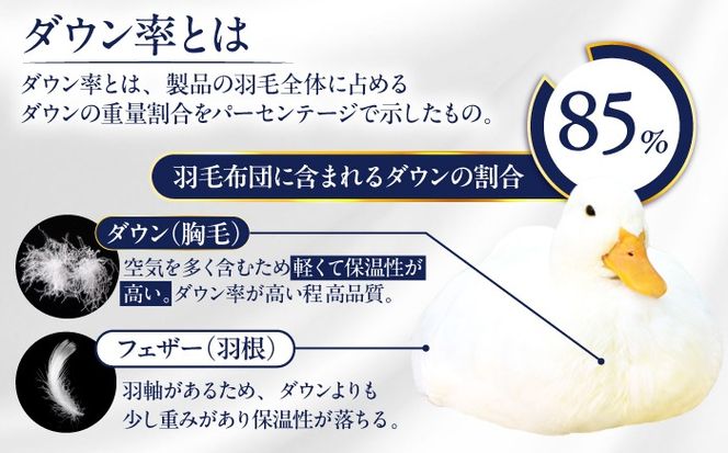 【訳あり】【 糸島 羽毛 ふとん 】羽毛 布団 柄おまかせ ダウン85％【ダブル】糸島市 / 株式会社三樹  [AYM005] 羽毛 布団 ふとん 掛け布団 掛けふとん ダブル 訳あり おまかせ 日本製