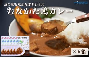 むなかた鶏カレー 6個セット【道の駅むなかた】_HA1827
