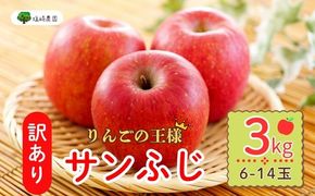 【先行予約】　【訳あり】サンふじ 約3kg (6〜14玉）（2025年12月中旬から発送）(7-A39-1) 長野県 飯山市 おすすめ ランキング おいしい 高評価 大人気 りんご