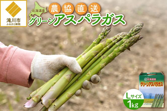 【2026年発送先行受付】北海道産グリーンアスパラ Lサイズ 1kg(500gx2袋) 産地直送 | 野菜 旬 とれたて お取り寄せ 小分け 保存 北海道 滝川市