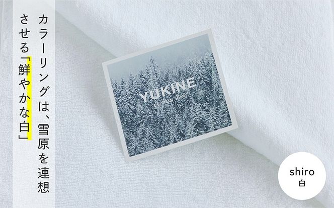 099H3993 SHINTO TOWEL「ユキネ・フェイスタオル」shiro（白）3枚セット オーガニックコットン100%