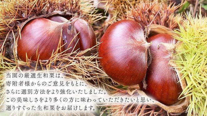 厳選 生和栗 2kg 【庄七農園】 栗 果樹 生栗 栗ご飯 渋皮煮 甘露煮 マロングラッセ フルーツ 茨城県 和栗  [BK41-NT]