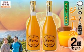 いのうえ農園 ジュース2種セット（ポンカン/みかん）※離島への配送不可 IKTAI017