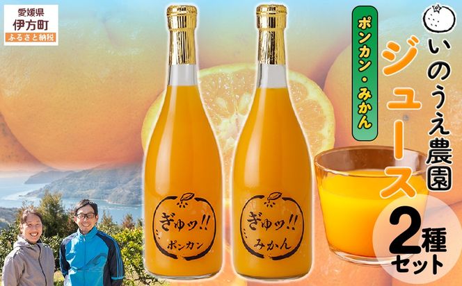 いのうえ農園 ジュース2種セット（ポンカン/みかん）※離島への配送不可 IKTAI017