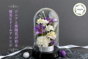 プリザーブドフラワー　栞（しおり）　藤【埼玉県 春日部市 ドーム型 紫系 贈答品 記念ギフト 室内装飾 上質 癒やし】（AJ278）