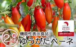 【先行受付】機能性表示食品 ミニトマト ゆうがたベーネ 2kg - ミニトマト プチトマト フルーツトマト ギフト のし対応 高糖度 お歳暮 御歳暮 贈答用 贈り物 is-0014