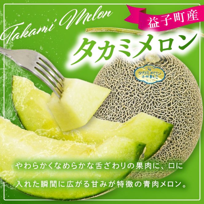 【先行予約】【数量限定】赤肉・青肉メロン食べ比べ2個セット｜タカミレッド＆タカミメロン｜高糖度・産地直送｜栃木県益子町 メロン プレゼント お中元 産地直送 赤肉 青肉　(AA045)