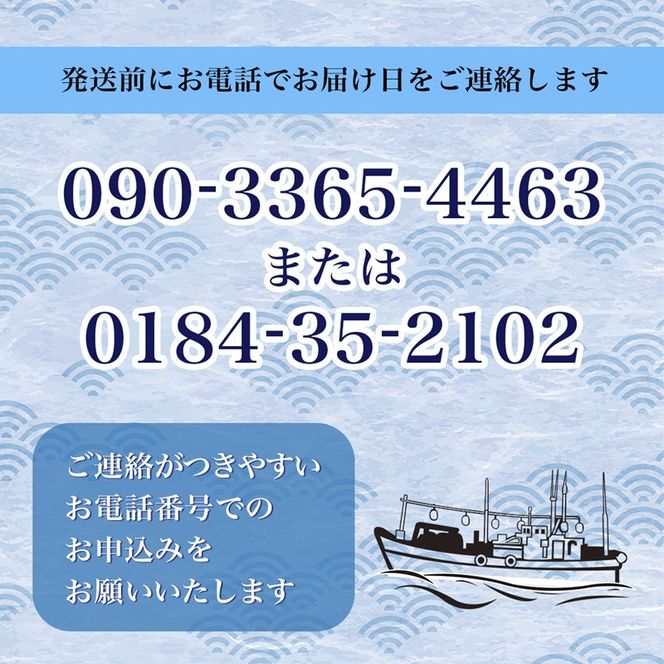 【 先行予約 7月上旬～下旬発送予定】象潟産 天然岩牡蠣 7～8個 ナイフ付【 牡蠣 夏牡蠣 かき 象潟 生食可 魚介類 海鮮 海産物 海の幸 】