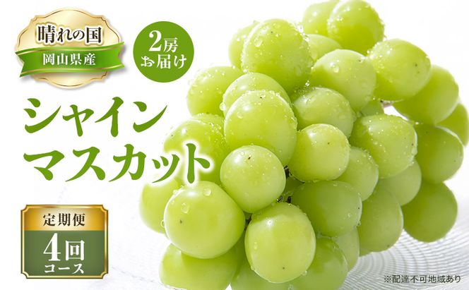【 2026年 先行予約 】ぶどう 晴れの国 シャインマスカット 2房 定期便 4回 コース 《2026年7月-10月出荷》 葡萄 ブドウ 岡山県産 フルーツ 果物 数量限定 里庄町 