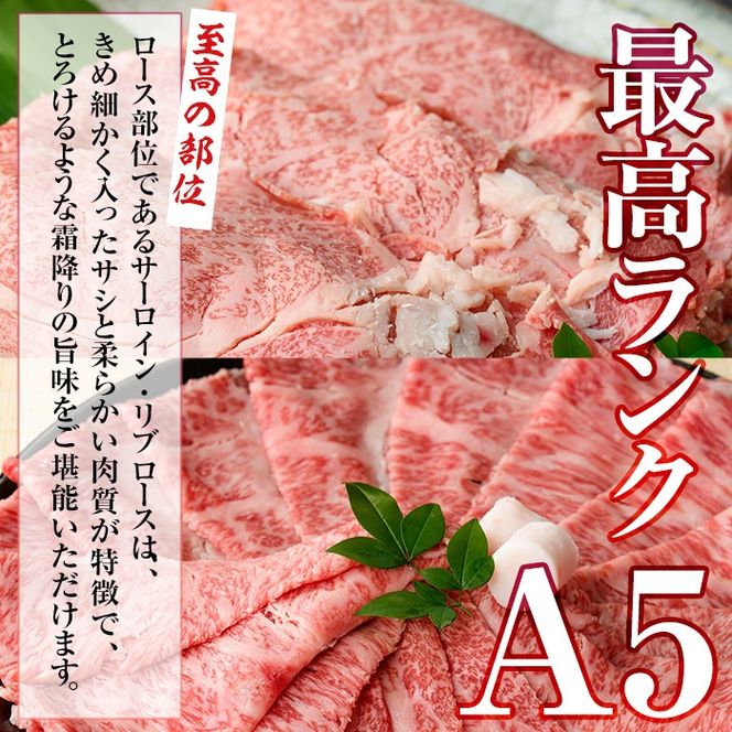 【2月末迄】【数量限定・緊急対策事業】最高級のA5等級！鹿児島県産黒毛和牛ローススライス(サーロイン&リブロース)2種セット＜計1kg/1Pあたり200g＞ b4-008