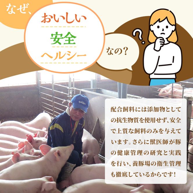 【定期便 6回】しゃぶしゃぶ用 肩ロース すき焼き 和豚 もちぶた 200g×10 (2kg) 豚肉 ポーク 肉 豚 国産 宮城県産 小分け ストック 精肉