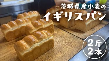 茨城県産 小麦の イギリスパン 2斤 2本 セット 食パン パン 小麦 冷凍 プレゼント ギフト [AU006ci]