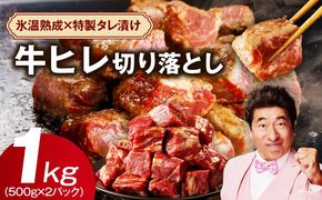 mrz0038 【特別寄附金額】やわらか牛ヒレ肉 1kg 小分け 500g×2P【氷温熟成×特製ダレ 切り落とし 訳あり サイズ不揃い サイコロステーキ 一口サイズにカット】