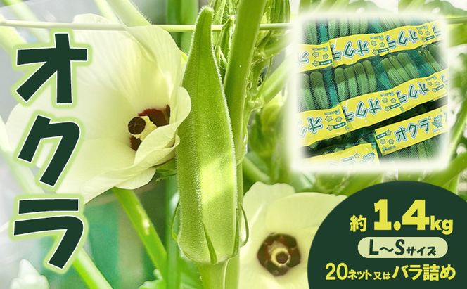 オクラ 約1.4kg 野菜