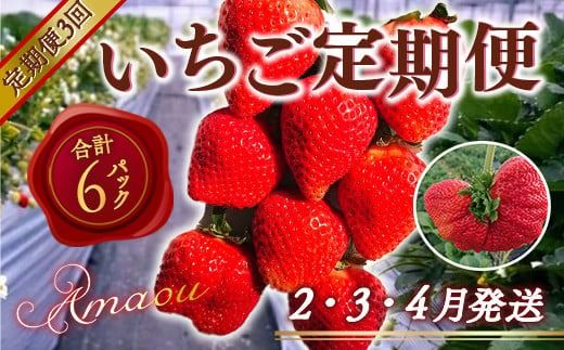 [期間限定発送] いちご 定期便 あまおう 2p 3回 総計6P [THE FARM_strawberry 福岡県 宇美町 um40azo780012] イチゴ 苺 フルーツ 果実 甘い 小分け