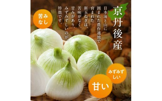【訳あり】 新たまねぎ　7kg 7キロ 30～40玉 玉ねぎ タマネギ 玉葱 玉ネギ 訳あり 訳有り 規格外 不揃い ふぞろい 野菜 京野菜 京都産　 JA00063