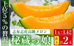 【春限定】極上メロン「秘蔵っ娘」赤玉(赤肉)2個 b5-036-s