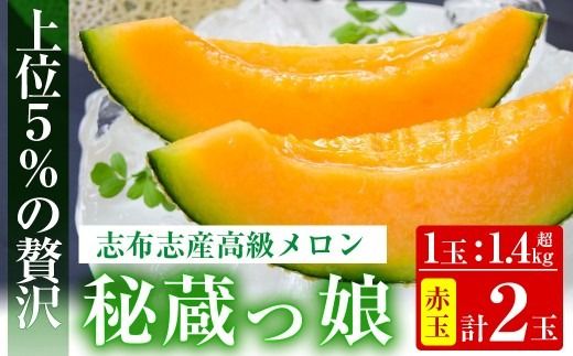 【春限定】極上メロン「秘蔵っ娘」赤玉(赤肉)2個 b5-036-s