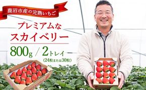 【先行予約/数量限定】プレミアムな完熟スカイベリー（24粒または30粒）2トレイ800g｜ 栃木県 鹿沼市 産地直送 旬 いちご こだわり 高級品 贈答用 イチゴ 苺 果物 フルーツ 期間限定　※2025年12月中旬～2026年2月中旬頃に順次発送予定
