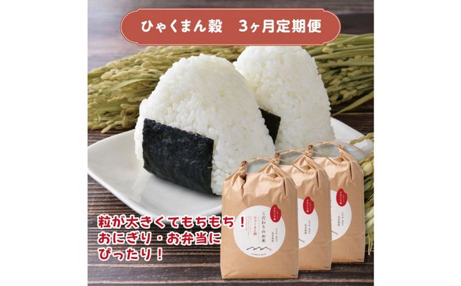 【定期便3回】北本農場のお米石川県のオリジナル米 白米10kg ひゃくまん穀 172111_AZ020