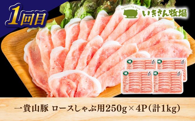 【全3回定期便】糸島・お肉定期便（定番コース） 毎月3-4人前[AAH016]