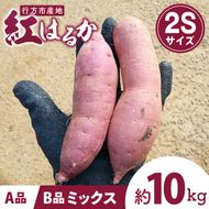 茨城県行方市特産紅はるか 2Sサイズ(A品・B品ミックス) 約10kg｜さつまいも 紅はるか(FU-5)