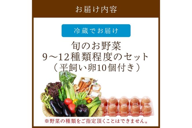 京の旬野菜セットL平飼い卵付き（栽培期間中農薬・化学肥料不使用）<アスカ有機農園>　AY00005