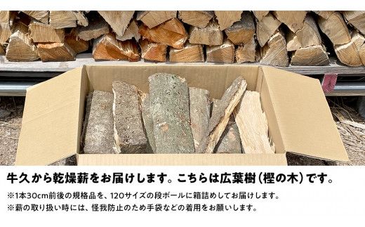 牛久市産 乾燥 薪 樫 ( かし ) 約14kg～16kg 天然木 マキ 乾燥薪 広葉樹 キャンプ アウトドア 焚火 焚き火 薪ストーブ 暖炉 たき火 野外 屋外 バーベキュー薪 ピザ窯の薪 グリル焼 [DP007us]