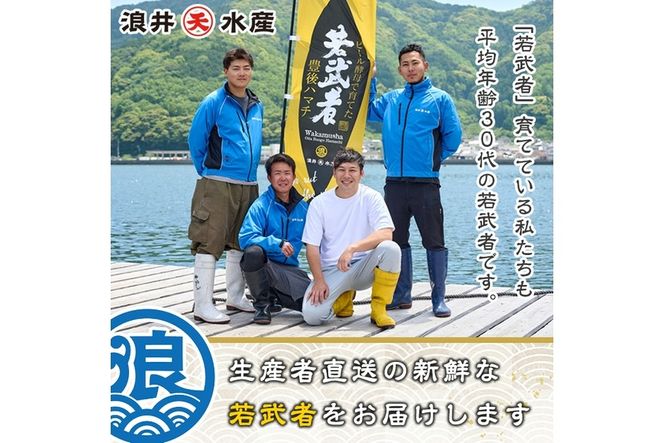 豊後ハマチ 若武者(丸一本) ハマチ はまち 鮮魚 旬 刺身 鰤しゃぶ 竜田揚げ りゅうきゅう 国産 大分県 佐伯市 特産品【GS001】【浪井丸天水産】