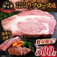 【数量限定】宮崎牛リブロース塊 500g　（宮崎牛 黒毛和牛 和牛 リブロース）