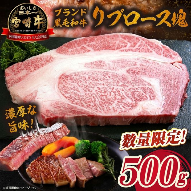 【数量限定】宮崎牛リブロース塊 500g　（宮崎牛 黒毛和牛 和牛 リブロース）