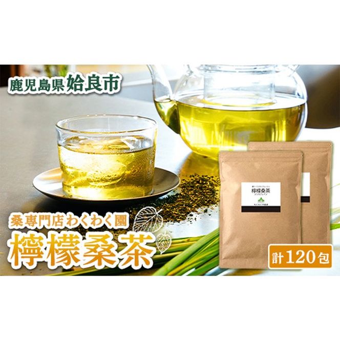 yǎsza928 EGK120Zbg(60×2) EG  K̗t  VR100 K̗ty킭킭z