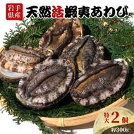 あわび 特大サイズ 2個 約300g 冷蔵 鮑 蝦夷あわび 活あわび あわび アワビ 鮑 Abalone ステーキ バターソテー 正月 お正月 おせち 刺し身 刺身 バーベキュー BBQ ごはん 夕飯 おかず おつまみ 晩酌 米 丼 海産物 海鮮 魚介 魚介類 贈答品 お中元 お歳暮 大船渡 三陸 岩手県 国産