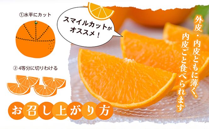 【 小豆島 】 ハウスせとか 約５kg 柑橘 せとか 瀬戸香 ハウス 果物 フルーツ くだもの 瀬戸内 くだもの 国産 香川 香川県 土庄 土庄町 