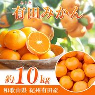 完熟有田みかん　10kg【2025年11月下旬以降発送】【先行予約】【UT11w】 AN002  