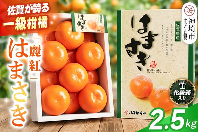 【2027年2月上旬より発送開始】【麗紅】はまさき 2.5kg【みかん 一級品 柑橘 フルーツ デザート】(H116144)