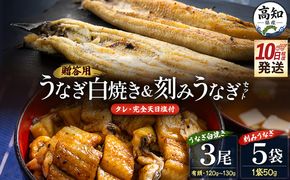 【10日程度で発送】贈答用 高知県産鰻の白焼き120～130ｇ3尾 刻み鰻50ｇ×5袋 蒲焼きのタレ5袋 天日塩20ｇ yw-0131