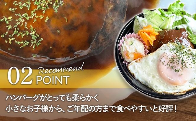 【定期便】 手捏ね デミグラス ハンバーグ （合計4回） ハンバーグ 手ごね デミグラス 国産 晩御飯 おかず お弁当 冷凍 合挽 レンジ 温めるだけ レンチン 湯銭 福岡 お土産 九州 福岡土産 福岡県