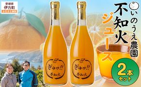 いのうえ農園 不知火ジュース2本セット ※離島への配送不可 IKTAI015