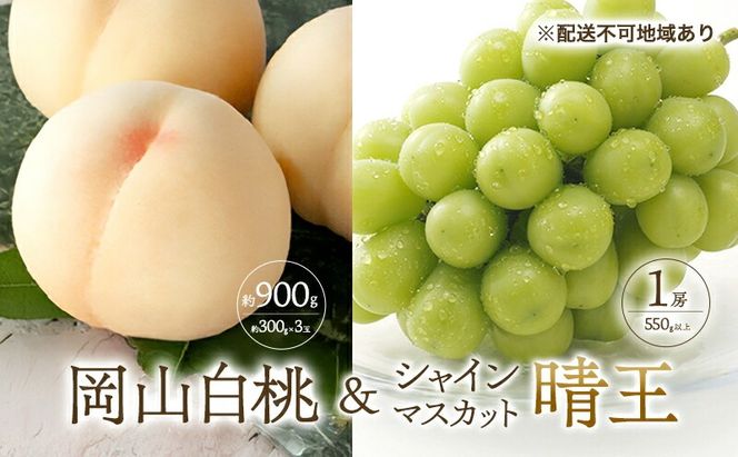 桃 ぶどう 2026年 先行予約 白桃 3玉 合計約900g （1玉約300g） シャインマスカット 晴王 1房 550g以上 もも 葡萄 詰合せ 岡山 国産 フルーツ 果物 ギフト 桃茂実苑