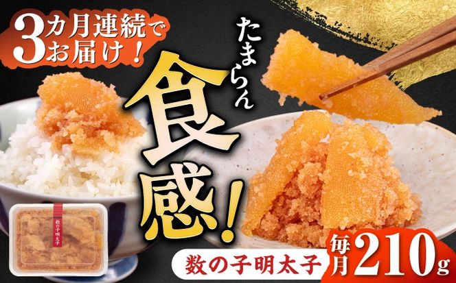 yz㒬zyS3ցz̎qq210gsz㒬tyЃ}܁z[ABCJ090]