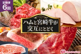 【定期便 6回】 日本ハム 宴の彩りハムと 宮崎牛が交互に届く [日本ハムマーケティング 宮崎県 日向市 452060959] ステーキ ロースハム 焼肉 肉 すき焼き