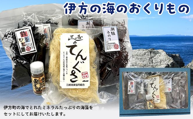伊方町産 海のおくりものセット IKTO009