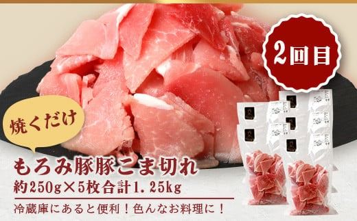 定期便 6回配送 もろみ豚 バラエティ定期便 【 沖縄 石垣 6ヵ月 精肉 細切れ こま切れ 小間切れ 切り落とし ミンチ ハンバーグ メンチカツ 餃子 豚肉 肉 惣菜 総菜 頒布会 もろみ みそ漬け 味噌漬け おかず 】AH-22-1