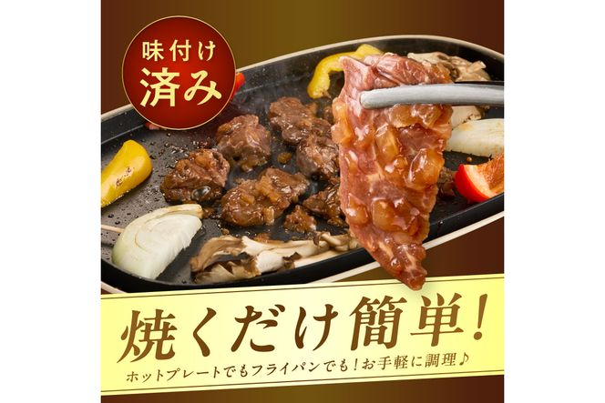 【予約：2025年12月から順次発送】北見市産玉ねぎ使用 味付けハラミ シャリアピンソース 300g×5個 ( 肉 牛肉 たまねぎ タマネギ 焼肉 )【224-0023】